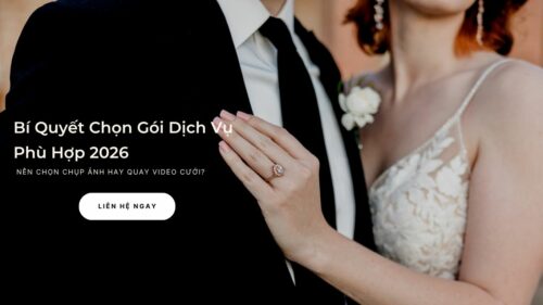 Bí Quyết Chọn Gói Dịch Vụ Phù Hợp 2026